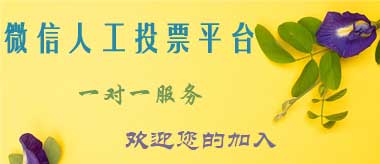 人工投票平台价格便宜