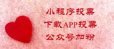公众号加粉