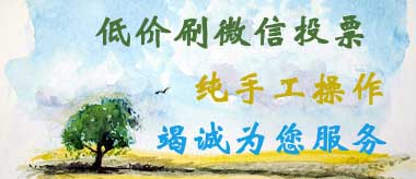 人工团队从事低价刷票