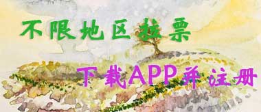 不限地区拉票