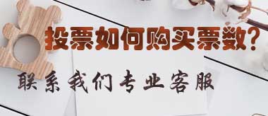 投票如何购买票数呢请联系我们