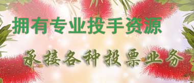 专业的投手资源